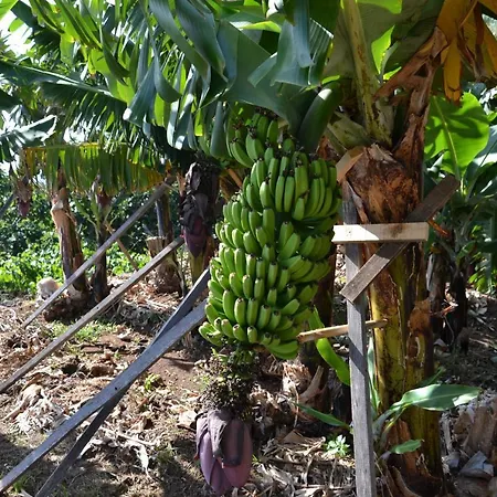 아파트 Casa D' Avo Zeza 자르딤 도 마르