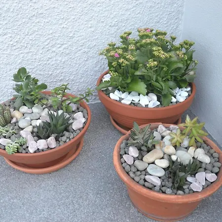 Casa D' Avo Zeza アパート ジャルディン・ド・マール