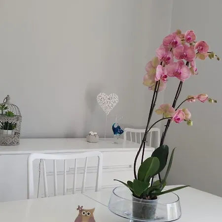 Casa D' Avo Zeza アパート