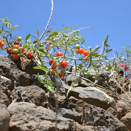 Casa D' Avo Zeza 公寓 滨海雅尔丁