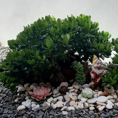 Apartamento Casa D' Avó Zeza *