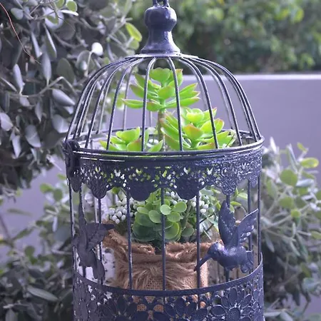 公寓 Casa D' Avo Zeza *