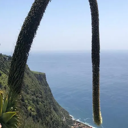 Casa D' Avo Zeza 公寓 *