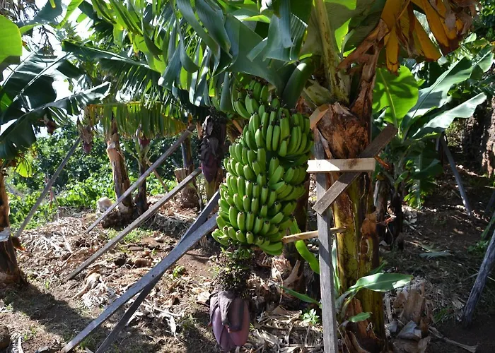 アパート Casa D' Avo Zeza ジャルディン・ド・マール