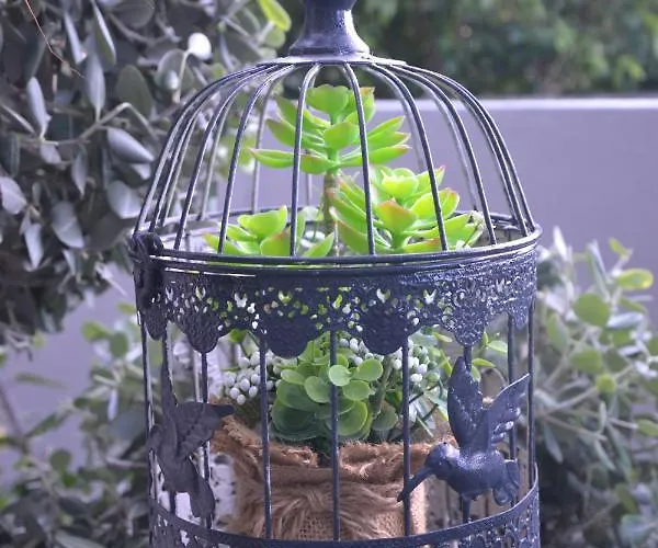 アパート Casa D' Avo Zeza *