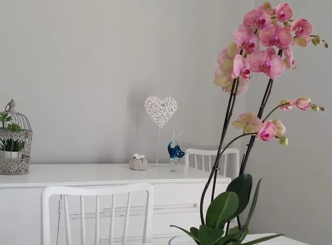 Casa D' Avo Zeza アパート